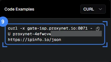 The curl command in the Code Examples card, password masked
