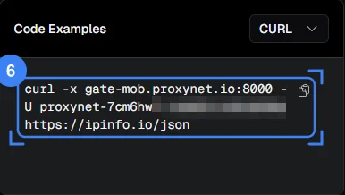 Comando curl no cartão Code Examples, senha oculta