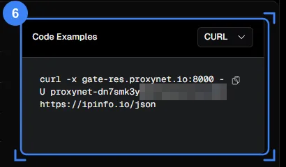 The curl command in the Code Examples card